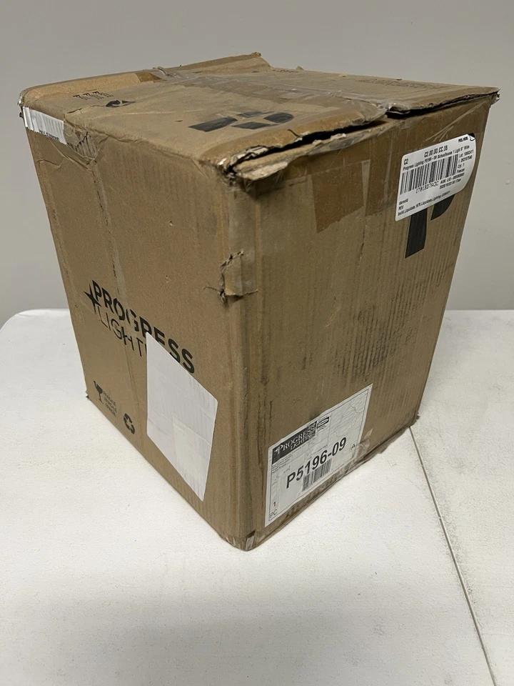 Mini colgante Progress Lighting P5196-09 casa escolar 8" W - níquel Foto 3 de 4