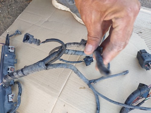 Read . 1995 Jaguar XJ6 Engine Fuel Injector Wiring Harness with Plugs LNA3340CG - Picture 5 of 24