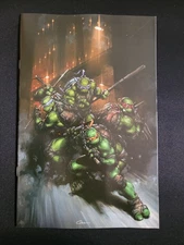 Teenage Mutant Ninja Turtles #13 1:50 Clayton Crain Virgin Variant IDW 2025