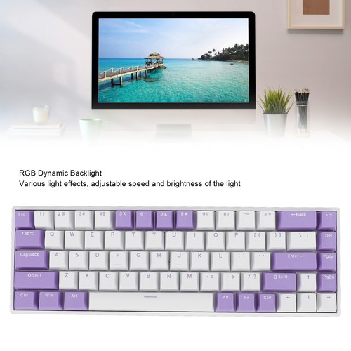 .›68 Keys Red Switch Mechanical Keyboard RGB 60 Percent USB C Wired Gaming Keybo - Picture 9 of 23