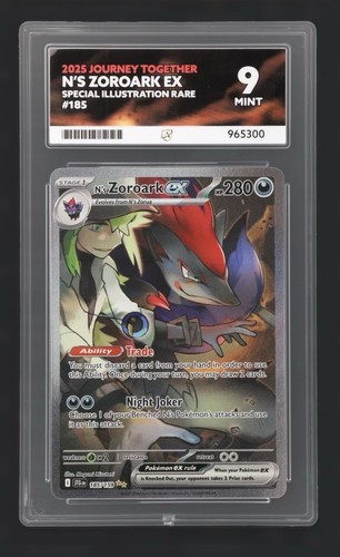 N's Zoroark ex — Journey Together