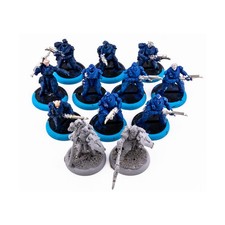 Warmachine Mk II Scyrah Dawnguard Invictors Unit #3 NM