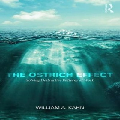 The Ostrich Effect Solving Destructive Patterns at Work William K