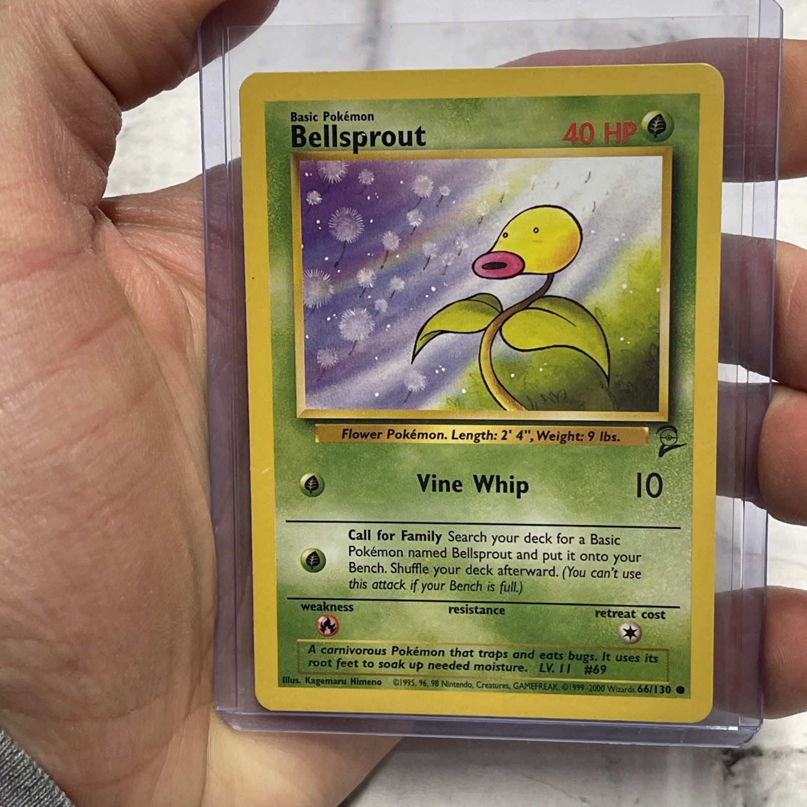 Pokémon Bellsprout Common Unlimited Base Set 2 66/130 NM/MT Pokemon Card Vintage