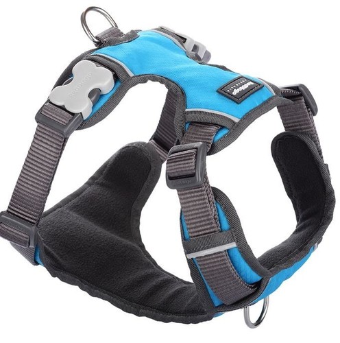 Red Dingo Padded Dog Harness Plain, Medium 20mm - Picture 11 of 11