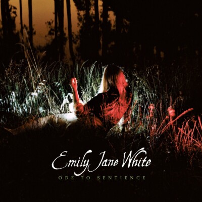 Emily Jane White - Ode To Sentience - LP NEU