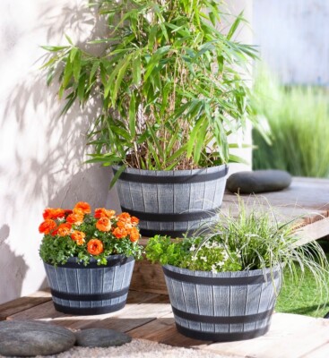 Pflanzkübel Eimer 3er Set  Barrel im Holz Look - Pflanzgefäß, Blumentopf -