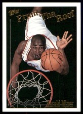 Harold Miner Miami Heat 94-95