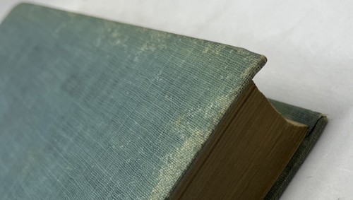 BEECHY Or The Lordship of Love by Baroness Von Hutten A.L. Burt Company 1909 HC - Imagen 8 de 15