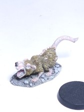 Rat monster Dungeons and Dragons D D warhammer fantasy reaper miniature 25mm