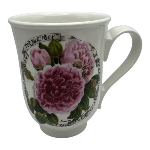 PORTMEIRION Millenium Rose Coffee Cup Susan Williams Ellis 2000 EUC Limited Ed