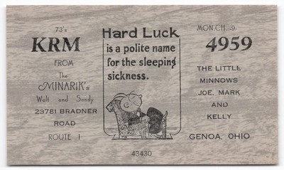 Vintage Genoa Ohio Minarik's Family Novelty Postcard Hard Luck Cartoon