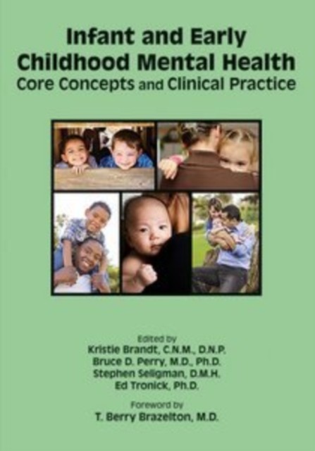 Infant and Early Childhood Mental Health – Core Concepts and Clinical Practice - Image 6