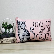 Decorative Pillow It Reads "One Cat Shy of Crazy" Pillow For A Cat Lover