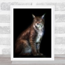 Luchs Porträt Tier Tiere Low Key Low-Key dunkles Fell pelzig Wandkunst Druck