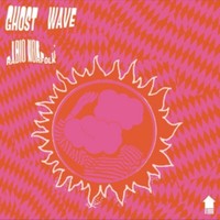 Ghost Wave - Radio Norfolk - Vinyl Record Vl - G3Z