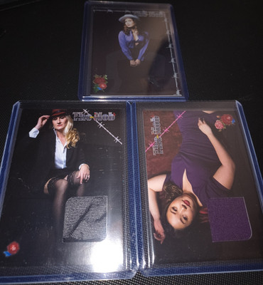 Historic Autograph Mob 2 Relic Pinup Card Lot Emily Rose Doung Salinas Numbered 