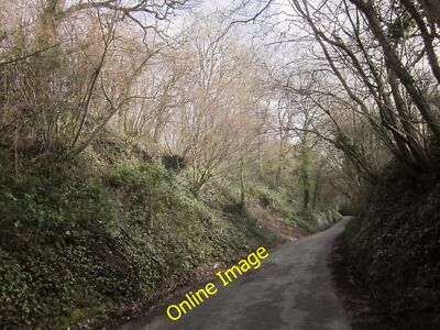 Photo 12x8 Hollywood Lane Catbrain From the same point as [[[3871673]]], l c2014