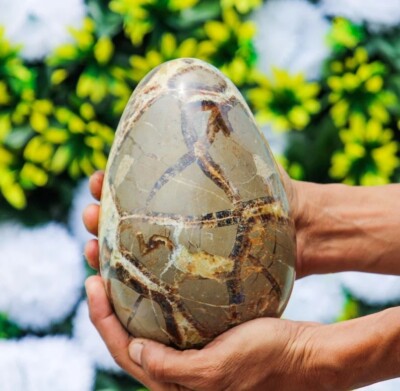 Large Septarian Crystal Egg Handmade Crystal Home Office Decorative Crystal Egg