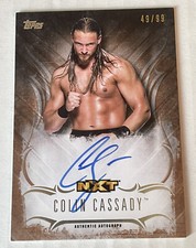 2016 Topps WWE Undisputed Wrestling Cards 18