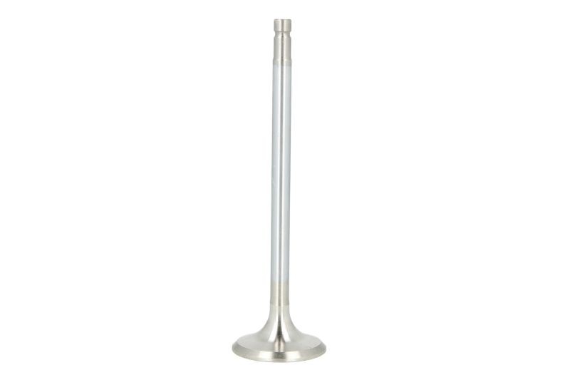 3x ✅Fits FRECCIA 6616/BMARCR Exhaust valve 6616/BMARCR Exhaust valve ⭐UK Seller⭐