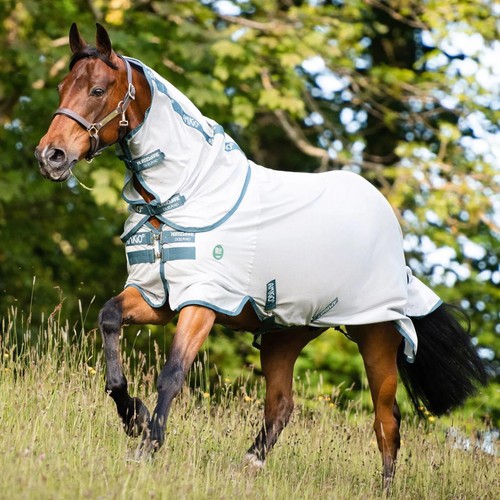 Horseware - Couverture de marcheur imperméable Amigo Walker 100g noir - Myver Sellerie