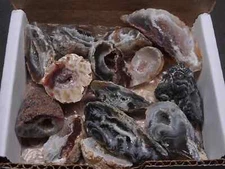 Oco Geode 1/2 Lb Lot Natural Polished Agate Crystals Druzy Geode Halves
