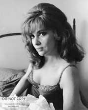 GINA LOLLOBRIGIDA LEGENDARY ITALIAN ACTRESS PIN UP 8X10 PUBLICITY PHOTO (DD-565)