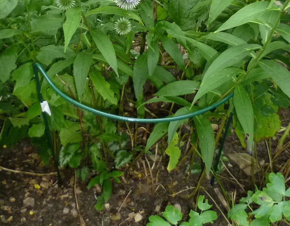 AGRALAN PLANT SUPPORTS PACKS OF 10