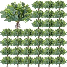 100 Pcs Faux Eucalyptus Stems with White Seeds Artificial Eucalyptus Leaves Gree