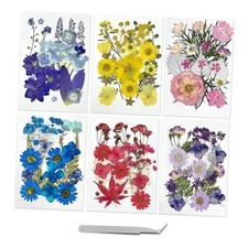 173Pcs Real Dried Pressed Flowers for Crafts - Natural Dry Flower Kit for