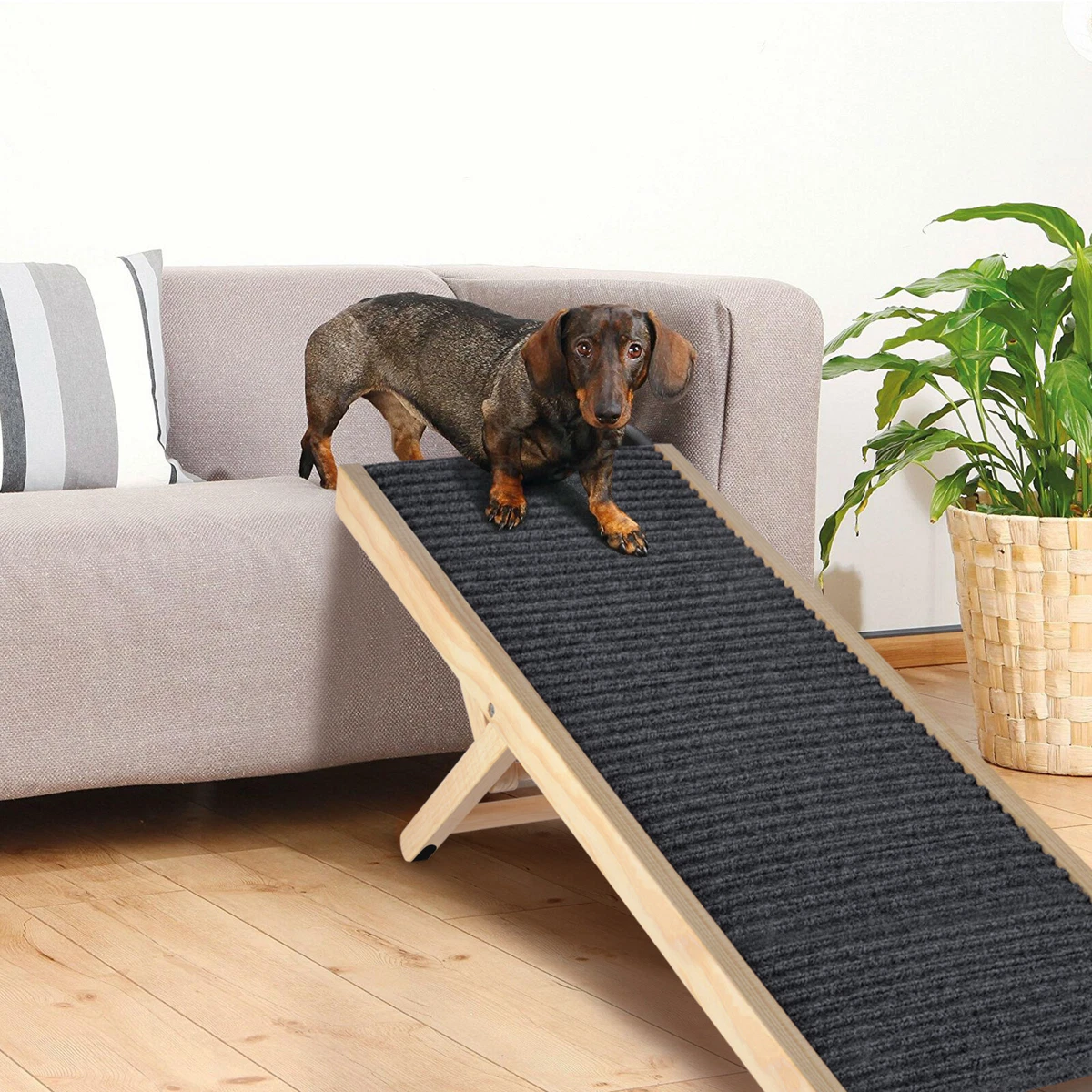 Dog ramp top large breed