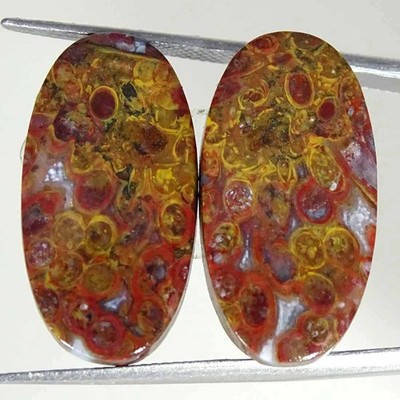 28.70Cts Natural Red Palm Root Agate Oval Pair Cabochon Loose Gemstone 13x26x4mm