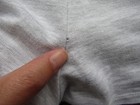 Bild 9 von 10