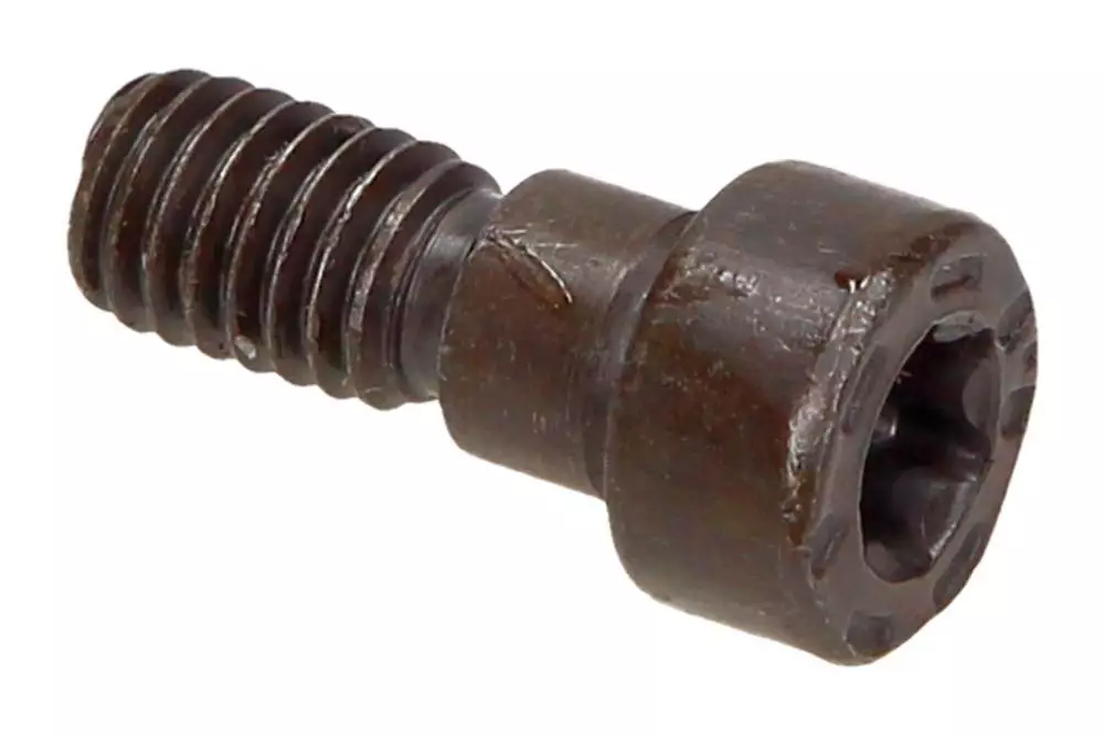 GENUINE BMW M52 M54 Engine VANOS Camshaft Torx Bolt LHT 1748745 