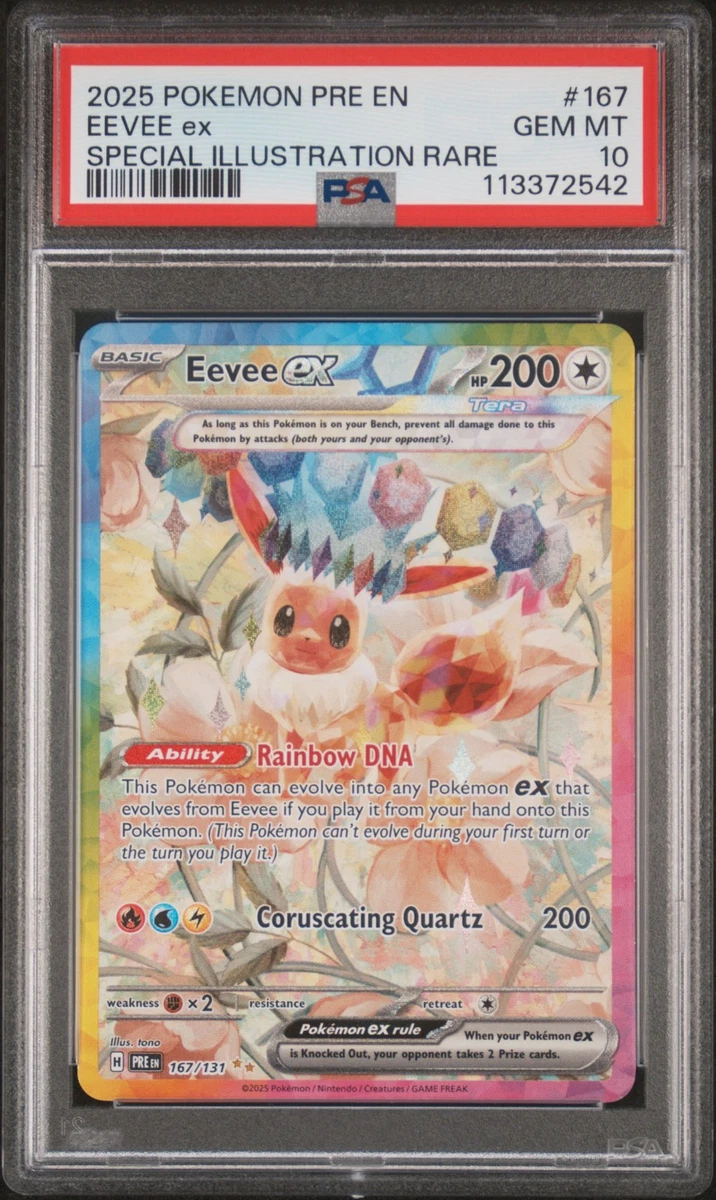 Pokémon Eevee个人Evolutions卡| eBay