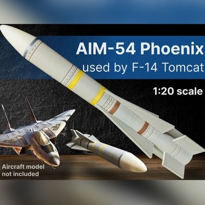 1/20 AIM-54 Phoenix Missile F-14 Fighter 3D Printed Model Kit Static Display