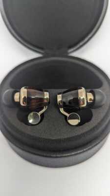 Victor JVC HA-FW10000 Canal Type Headphone Wired Dynamic Inner Ear