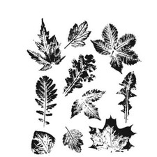Tim Holtz Rubber Stamp by Stampers Anonymous - Leaf Prints 2 CMS450
