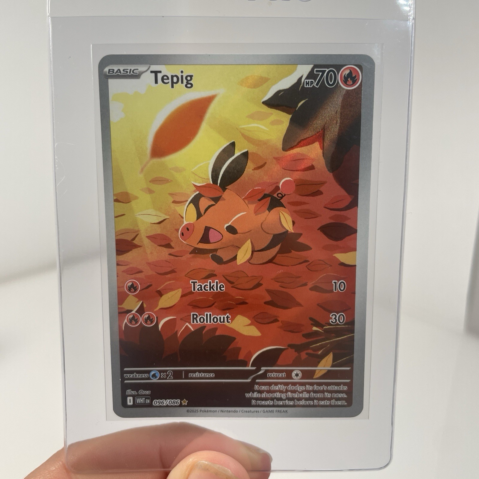Pokémon TCG Tepig Card Scarlet Violet White Flare 096/086 NM
