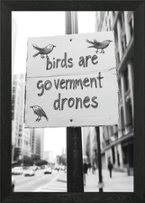 Birds are Government Drones Sign Framed Wall Art Poster Canvas Print Picture