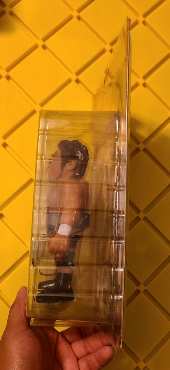 HAO Collection Satoshi Kojima triple crown Pro-Wrestling Fighter