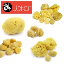 Jakar Natural Sea Sponge Fine & Course Texture Artist Synthetic Watercolour New