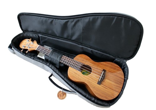 パパピピ様専用】【美品】H1007B KOA エレキギター 7弦 【公式通販】