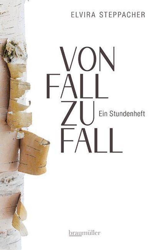 Von Fall Zu Fall. Ein Stundenheft | Elvira Steppacher | Buch | 224 S.