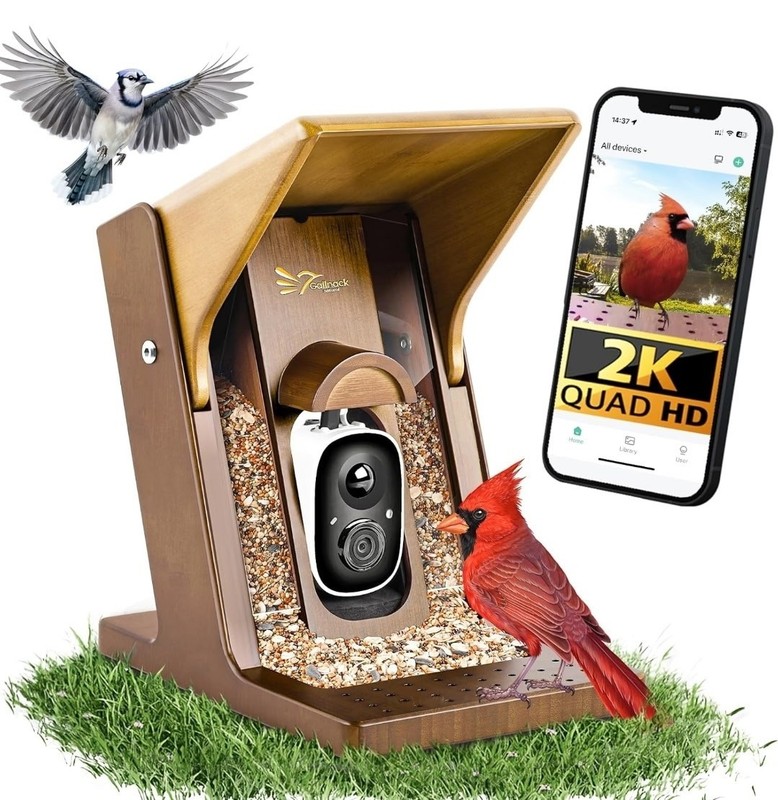 Smart Bird Feeder with Camera Outdoors, Biomimetic Design, 2K Video, AI Identify