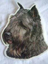 GRAND AUTOCOLLANT - motif chien Tête  BOUVIER DES FLANDRES N° 1
