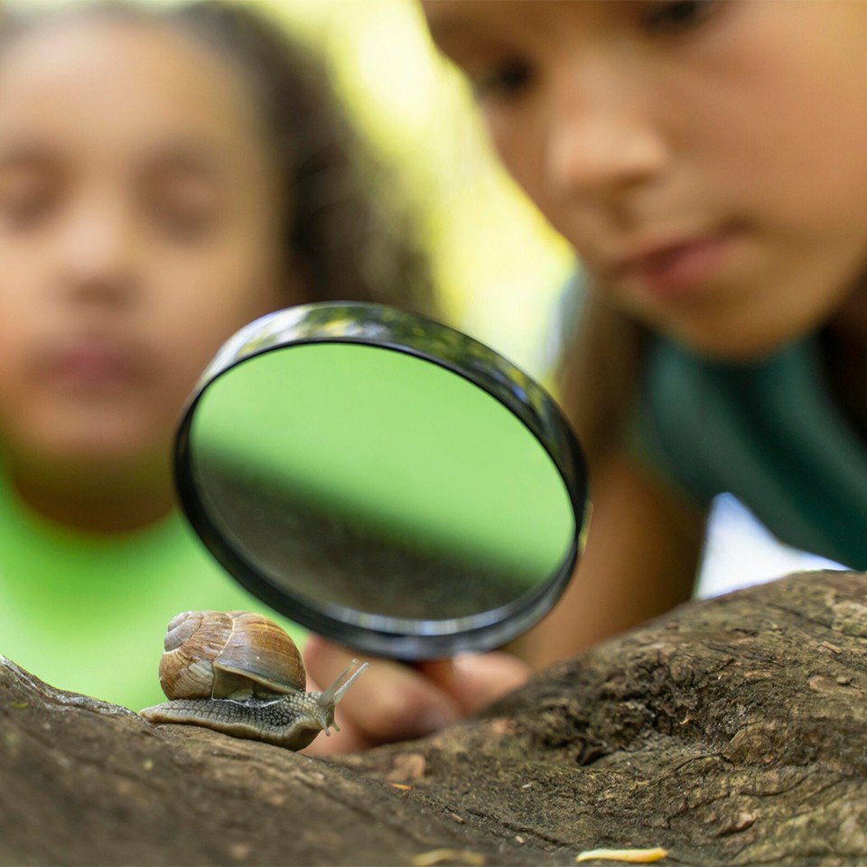 Magnifying Glass 5X Handheld Magnifier Reading Jewelry Loupe 90mm Large
