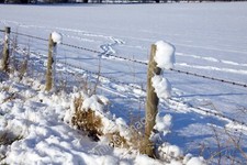Photo 6x4 Post and wire fence Aston Tirrold  c2010