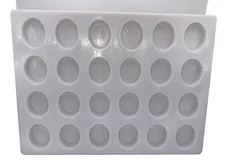 Walt Disney World Micelli Polycarbonate Chocolate Mold DISNEY Oval